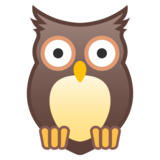 OWL Logo